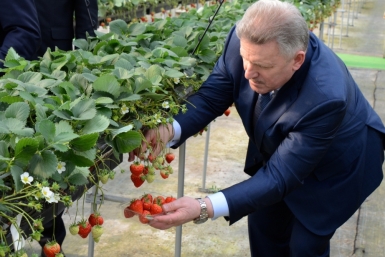 Вячеслав Шпорт пригласил бизнесменов из Ниигаты принять участие в проектах в рамках ТОСЭР  Пресс-служба губернатора и правительства Хабаровского края